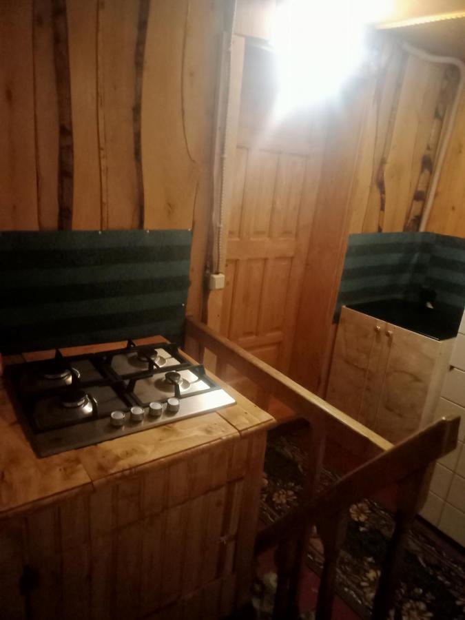 Holiday Home Tihiy Dvor Mikuliczyn Zewnętrze zdjęcie