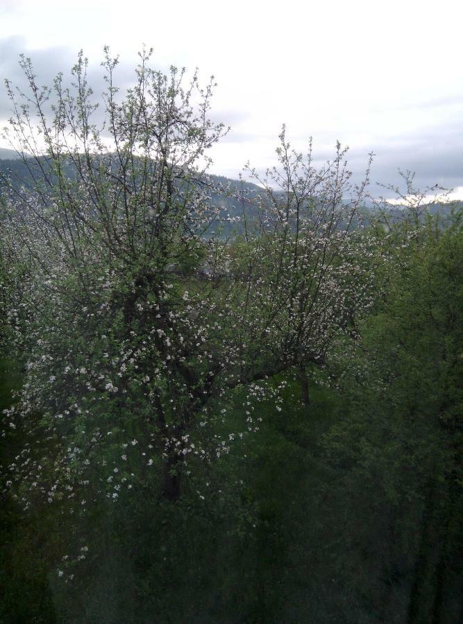 Holiday Home Tihiy Dvor Mikuliczyn Zewnętrze zdjęcie